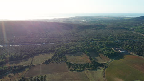 Vineyards-landscape-with-mediterranean-sea-in-background-aerial-view-highway